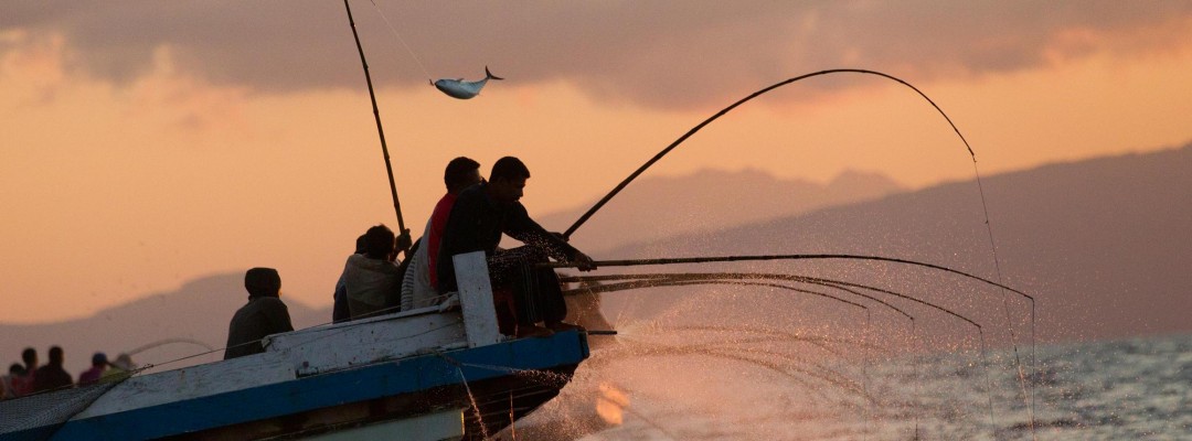 Запрет на рыбалку в казахстане 2024 году. Традиционная Мальдивская рыбалка. Рыбалка на Мальдивах. Рыболовство на Мальдивах. Рыбаки на тунца на катере.